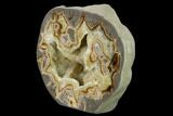 Polished, Crystal Filled Septarian Geode - Utah #170003-2